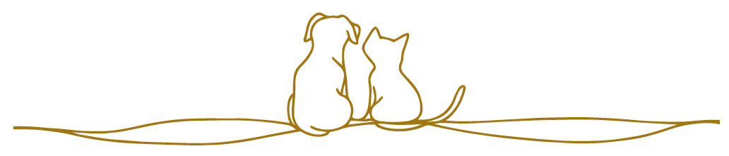 chat-chien2