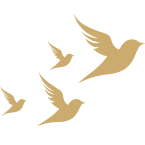Design sans titre(3)